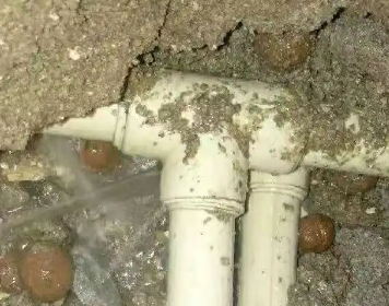 金平测漏水多少钱