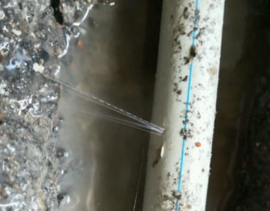 金平测漏水哪家好