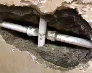 金平测漏水哪家好