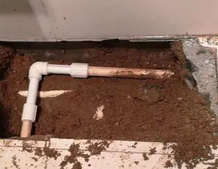 金平测漏水哪家好