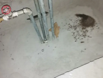 金平卫生间测漏水价格明细