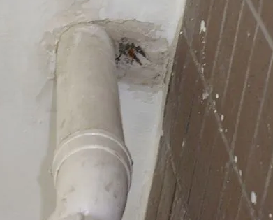 金平漏水检测哪家好