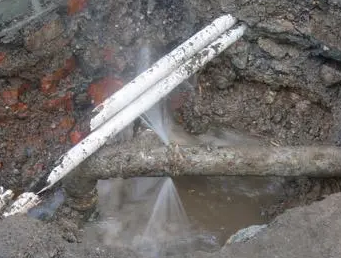 金平测漏水多少钱